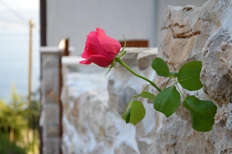 Holiday Villa in Omiš Oda fotoğraf